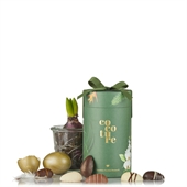 Marcipanæg & fyldte Chokoladeæg i Grøn Gaverør med sløjfe 255 g