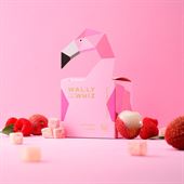 Wally and Whiz Rød Flamingo Hibiscus med Rabarber 140 g  